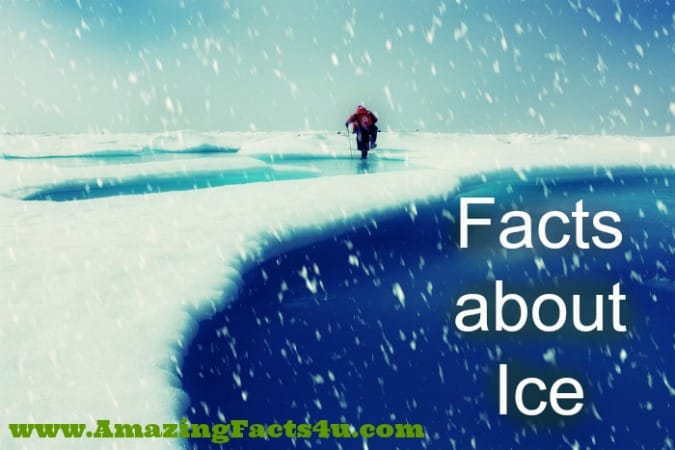 Ice - Amazing Facts 4 u