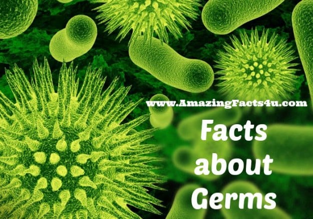 Germs - Amazing Facts 4 u