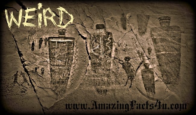 Weird - Amazing Facts 4 u