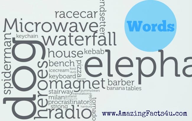 Words - Amazing Facts 4 u