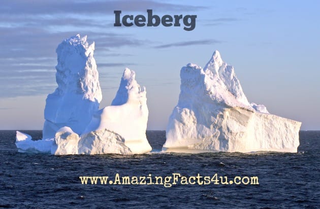 Iceberg - Amazing Facts 4 u