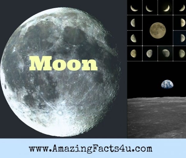 Moon - Amazing Facts 4 u