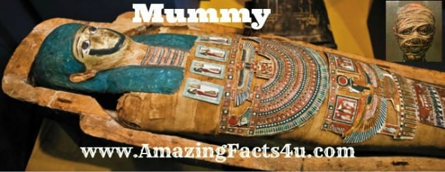 Mummy - Amazing Facts 4 u