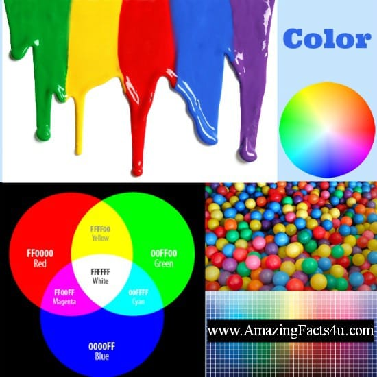 Color - Amazing Facts 4 u