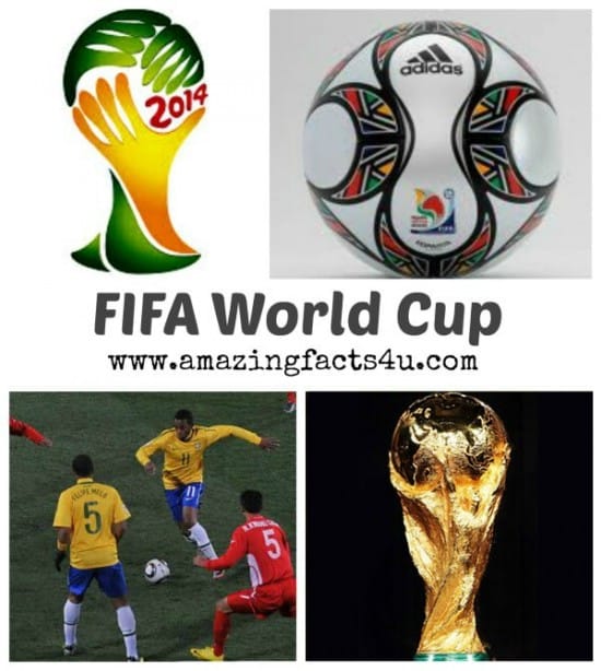 FIFA World Cup (Part 1) - Amazing Facts 4 u