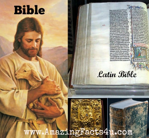 Bible - Amazing Facts 4 u