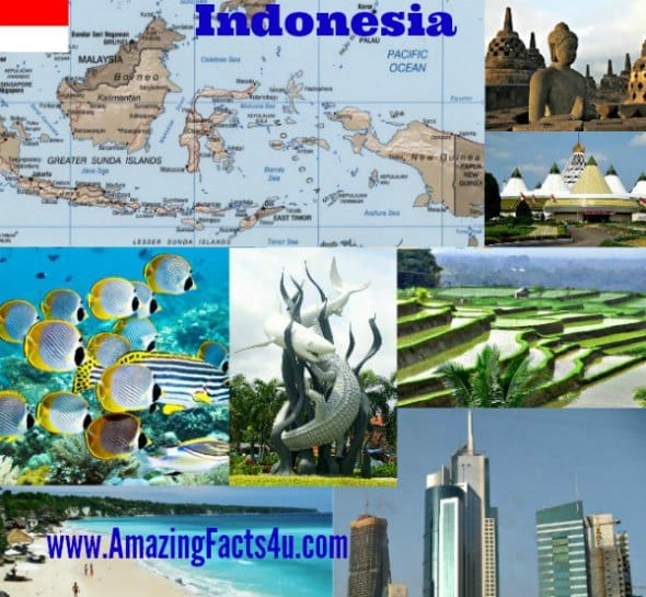 Indonesia - Amazing Facts 4 u