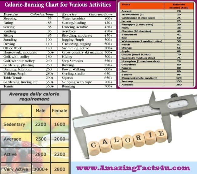 Calorie - Amazing Facts 4 u