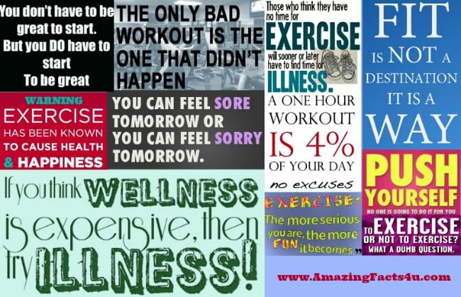Exercise - Amazing Facts 4 u