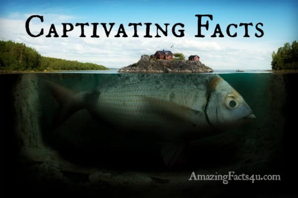 Captivating Facts