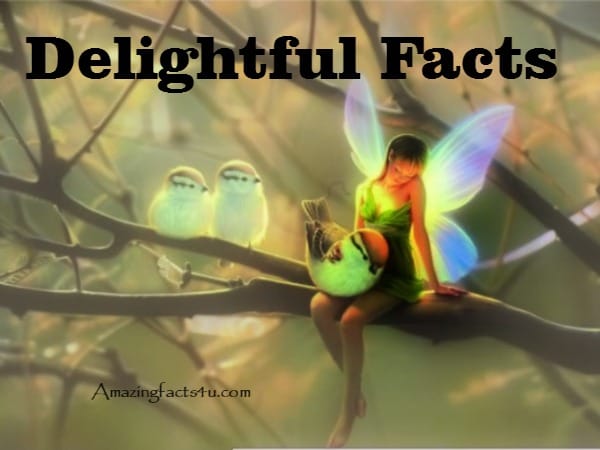 Delightful Facts - Amazing Facts 4 u