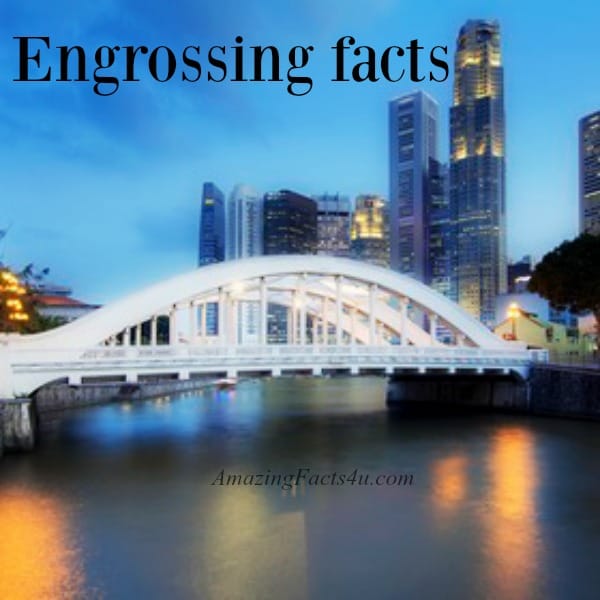 Engrossing Facts - Amazing Facts 4 u