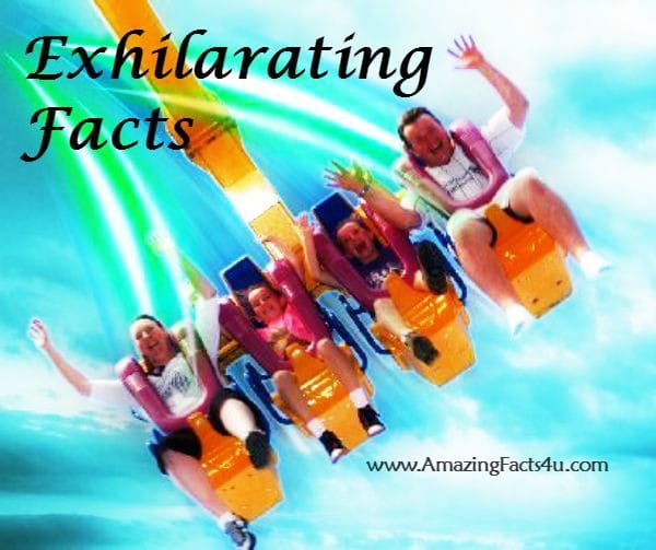 Exhilarating Facts - Amazing Facts 4 u