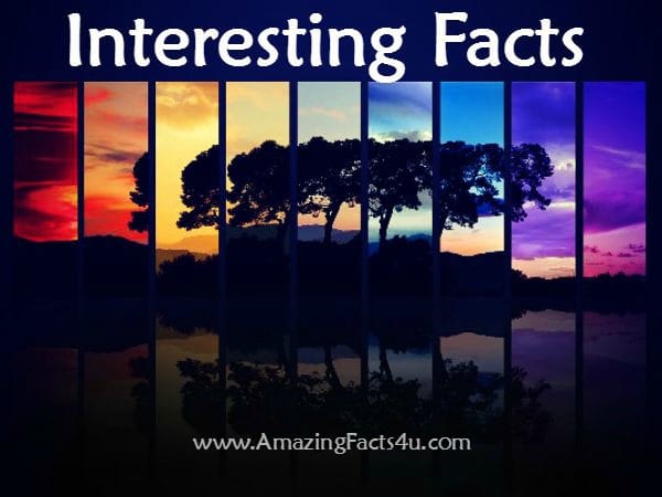 Interesting Facts - Amazing Facts 4 u