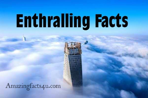 Enthralling Facts - Amazing Facts 4 u