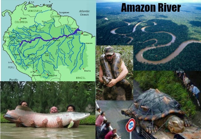Amazon River - Amazing Facts 4 u
