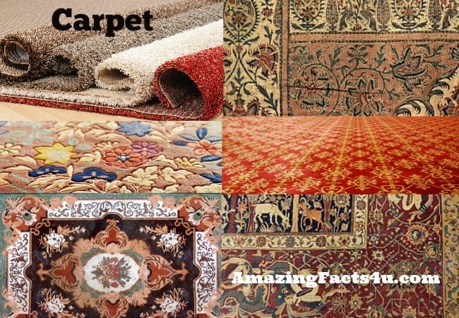 Carpet Amazing Facts