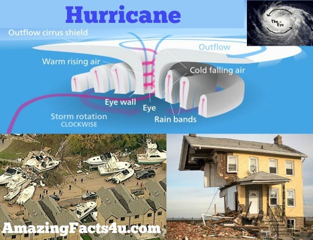 Hurricane Amazing facts