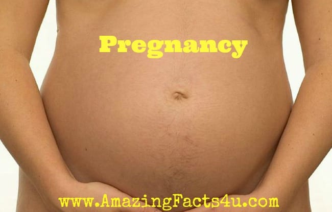 Pregnancy Amazing Facts