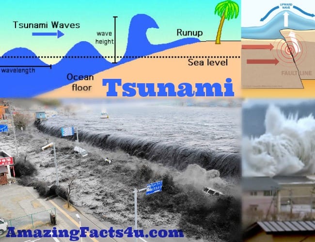 Psunami Amazing facts