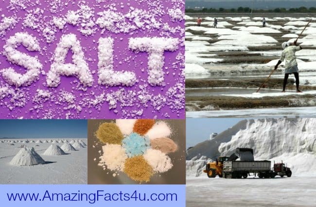 Salt Amazing facts