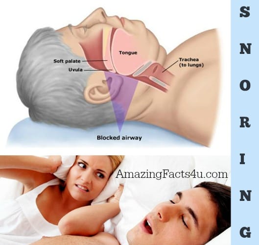 Snoring Amazing facts