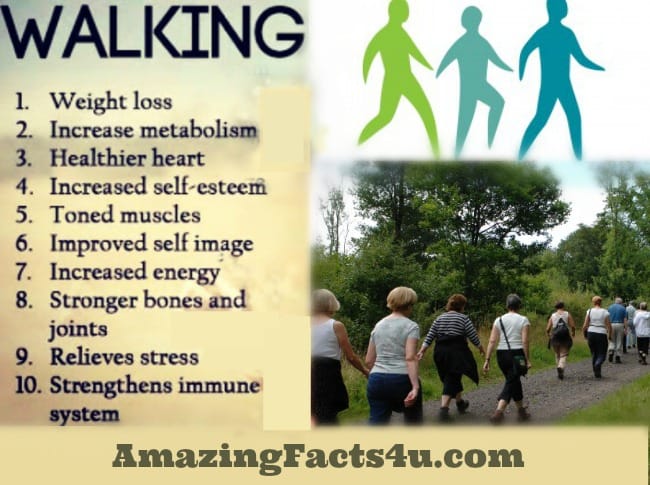 Walking amazing facts