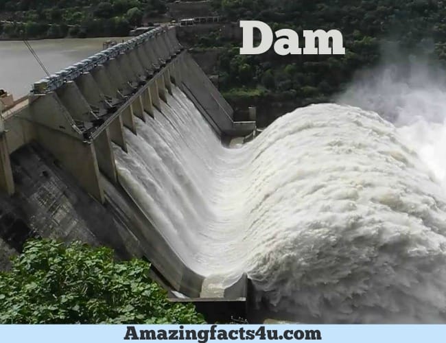 Dam Amazing facts