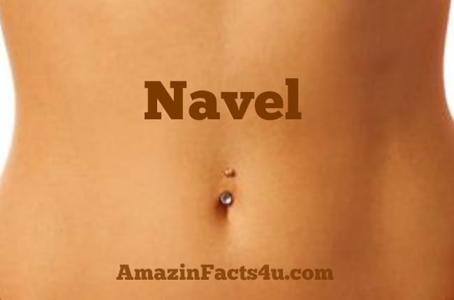 Navel Amazing Facts