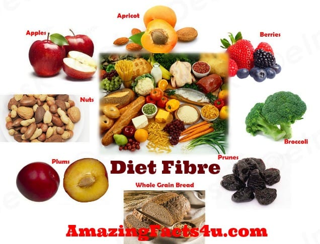 Diet Fibre Amazing facts