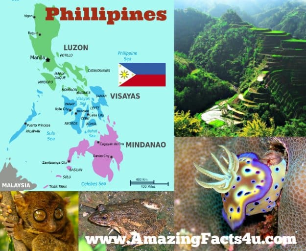 Phillipines Amazing Facts