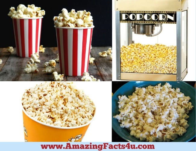 Amazing Facts Popcorn