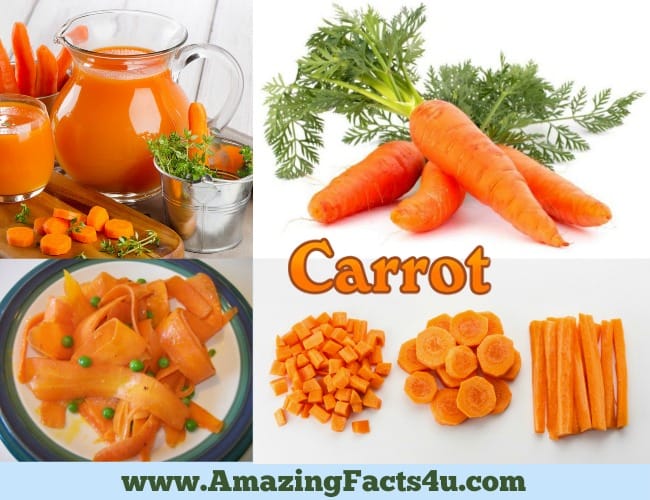 amazing-facts-carrot