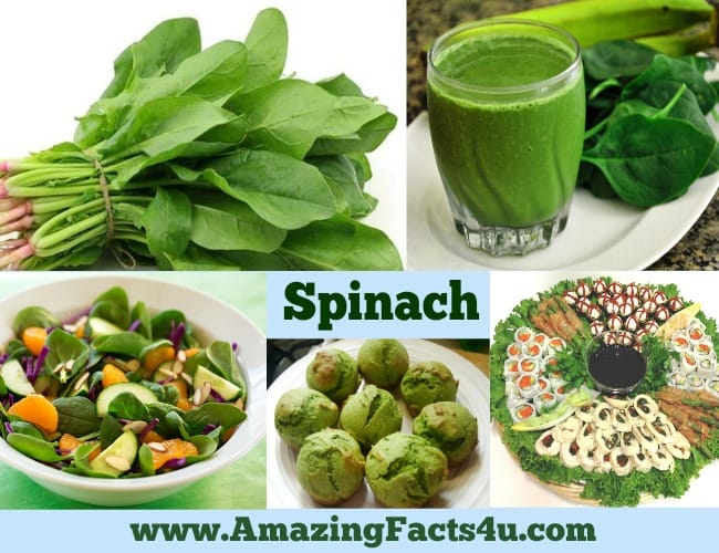 amazing-facts-spinach