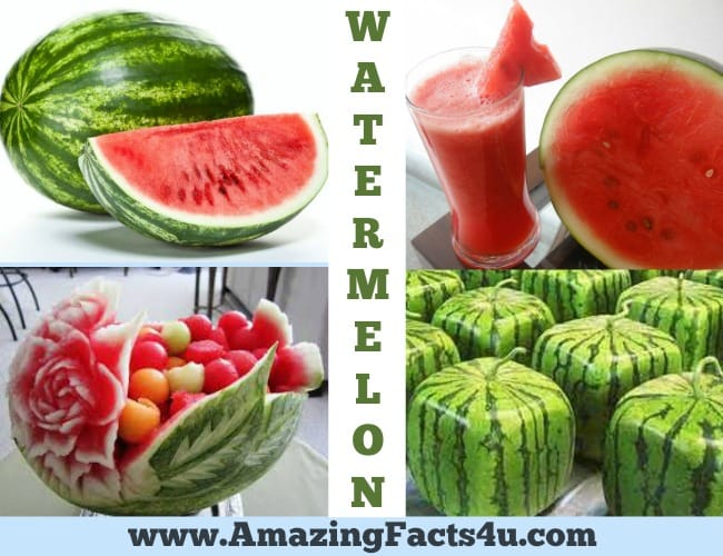 amazing-facts-watermelon