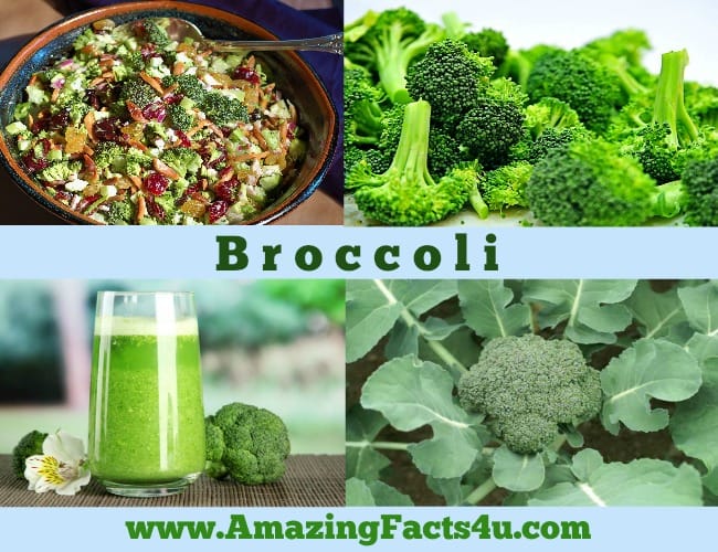 Amazing Facts Broccoli