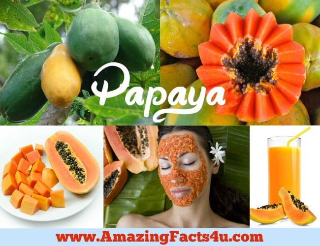 Amazing Facts Papaya
