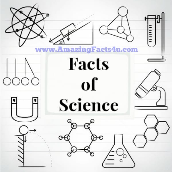 Science - Amazing Facts 4 u