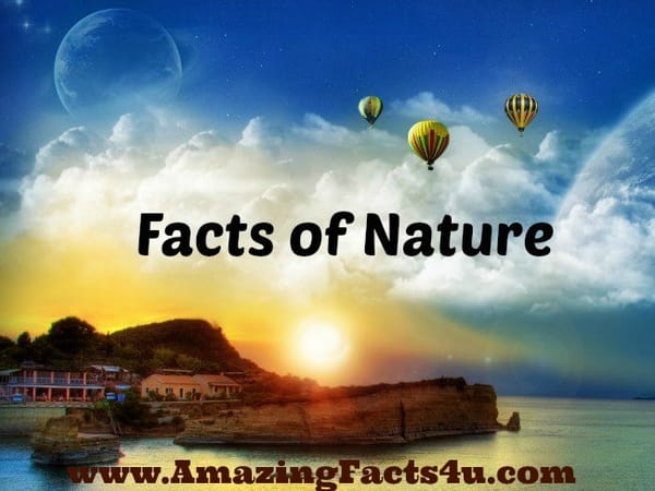 Amazing Nature (Part 1) - Amazing Facts 4 u