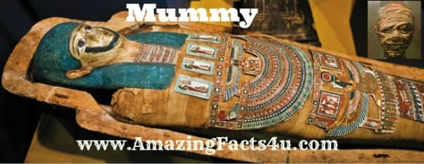 Mummy - Amazing Facts 4 u