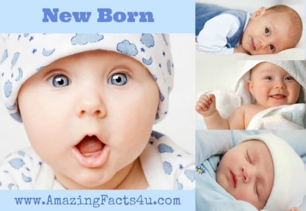 New Born - Amazing Facts 4 u
