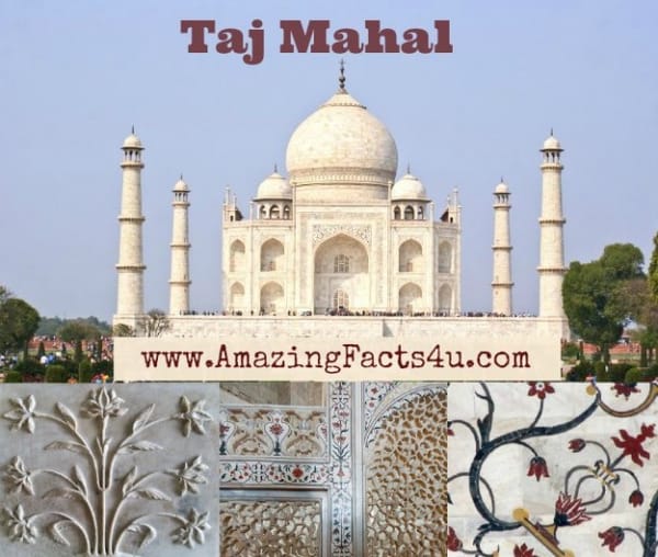 Taj Mahal - Amazing Facts 4 u