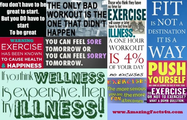 Exercise - Amazing Facts 4 u