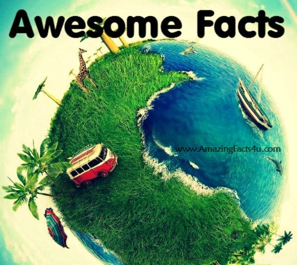 Awesome Facts - Amazing Facts 4 u