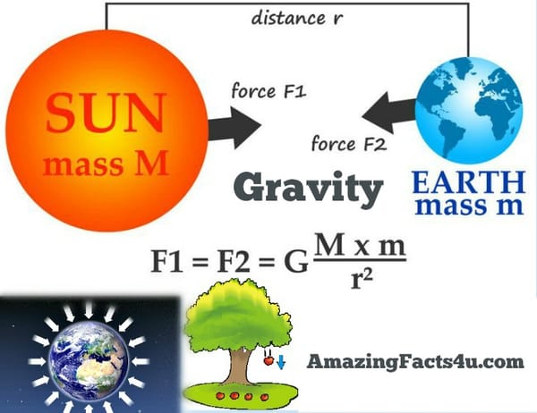 Gravity Amazing Facts
