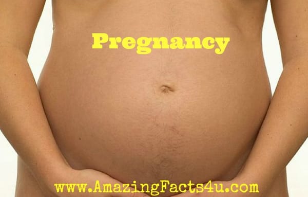 Pregnancy Amazing Facts