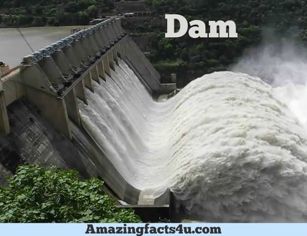 Dam Amazing facts