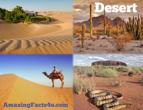 Desert Amazing facts