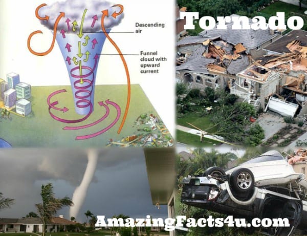 Tornado Amazing facts