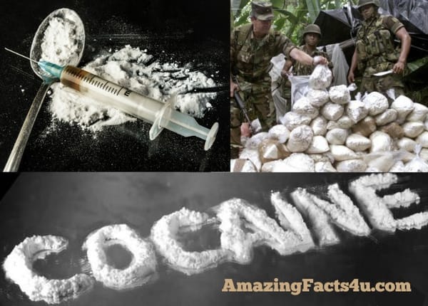 Cocaine Amazing facts
